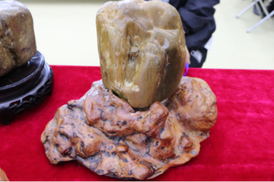 石韻煤魂，魅力海倫——首屆奇石文化旅游節(jié)盛大開幕，焦炭產(chǎn)業(yè)與文化盛宴交相輝映